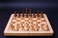 A game of chess, the beginning of a chess game two sides opposite each other. Royalty Free Stock Photo