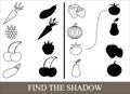 Game for children. Color objects of vegetables, berries and fruits and find the correct shadow. Royalty Free Stock Photo