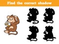 Game for children: Find the correct shadow (little monkey)