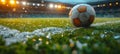 After game. Closeup soccer ball on grass of football field at crowded stadium Royalty Free Stock Photo