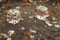 game dice, glass with red dots Royalty Free Stock Photo