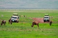 Game drive