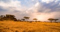 Game drive on dirt road with Safari car in Serengeti National Park in beautiful landscape scenery, Tanzania, Africa Royalty Free Stock Photo