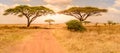 Game drive on dirt road with Safari car in Serengeti National Park in beautiful landscape scenery, Tanzania, Africa Royalty Free Stock Photo