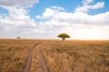 Game drive on dirt road with Safari car in Serengeti National Park in beautiful landscape scenery, Tanzania, Africa Royalty Free Stock Photo