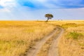 Game drive on dirt road with Safari car in Serengeti National Park in beautiful landscape scenery, Tanzania, Africa Royalty Free Stock Photo