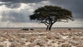 A herd of oryx antelopes by lonely trees in the vast savannah of Etosha National Park Royalty Free Stock Photo