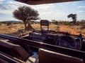 Game drive. Madikwe Game Reserve, South Africa