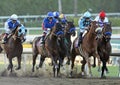 Game On Dude Wins the Santa Anita Handicap Royalty Free Stock Photo