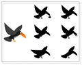 Game for kids find the right shadow of a flying crow, Halloween. vector isolated on a white background