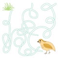 Game labyrinth find a way quail vector