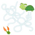 Game labyrinth find a way tortoise vector