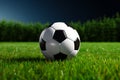 Game and Olympic flair, realistic soccer ball on green grass