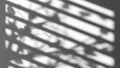 Game of shadow with blinds and trees blend effect Royalty Free Stock Photo