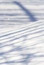 A Game of Shadows on snow Royalty Free Stock Photo
