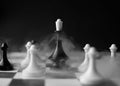 on a game sports chess board there is a chess piece of a black queen surrounded by white pawns in smoke Royalty Free Stock Photo