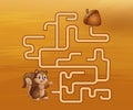 Game squirrel maze find their way to the walnut