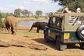 Game viewing vehicle and elephants