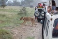 Game viewing vehicle in the savanna