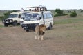 Game viewing vehicle in the savanna