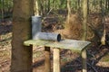 Gamebird feeder in woodland Royalty Free Stock Photo