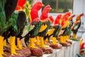 Gamecocks Statue in thai temple for redeem a vow to a god, nati