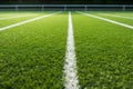 Gameready white stripe on a perfectly manicured green soccer field Royalty Free Stock Photo