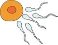 Gametes