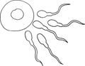 Gametes