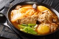 Gamja-tang or pork backbone stew is a spicy Korean soup close up in the bowl. Horizontal