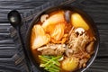 Gamja-tang or pork backbone stew is a spicy Korean soup close up in the bowl. Horizontal top view