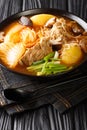 Gamjatang Pork Bone Korean Soup close up in the bowl. Vertical Royalty Free Stock Photo