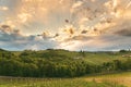 Gamlitz town in Austria Vineyards in Sulztal area south Styria, famous wine country