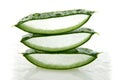Aloe gamma laminae Royalty Free Stock Photo