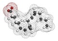 Gamma-linolenic acid (GLA, gamolenic acid) molecule. Omega-6 fatty acid present in many vegetable oils, including evening primrose