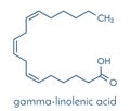 Gamma-linolenic acid GLA, gamolenic acid molecule. Omega-6 fatty acid present in many vegetable oils, including evening primrose