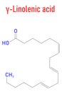 Gamma-linolenic acid molecule. Skeletal formula. Chemical structure