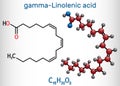 Gamma-Linolenic acid, GLA, gamolenic acid molecule. It is Omega 6, polyunsaturated long-chain fatty acid found in seed oils.