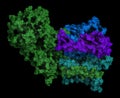 Gamma secretase protein complex. 3D illustration.
