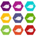 Gammon icon set color hexahedron