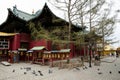Gandan Monastery - Ulaanbaatar - Mongolia Royalty Free Stock Photo