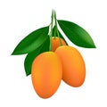 Gandaria mango plums