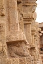 Interiors of Madhavaraya temple in Gandikota - Grand Canyon of India - India tourism - Religious trip Royalty Free Stock Photo