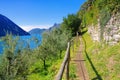 Gandria Sentiero dell`olivo on Lake Lugano Royalty Free Stock Photo