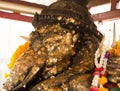 Ganesha Elephant God Statue