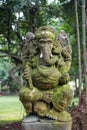 Ganesha moss in park