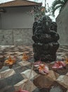 Ganesha statue dark stone color with fragipani flowers