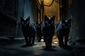 A gang of cat mafia walks down a dark street