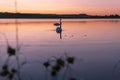 Gang, group of swans at sunrise. Backlight. Warm tones on the water lake. Silhouettes, shadows. Beautiful background