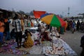 Gangasagar Festival